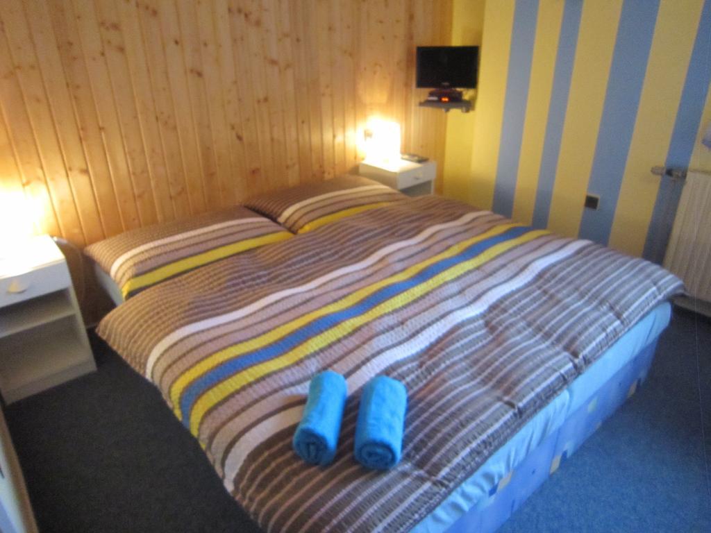 Dueto Hotel Harrachov Room photo